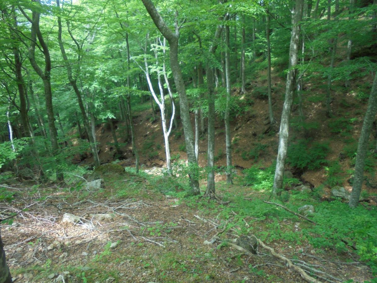 Villa El Correc Laroque-des-Albères Esterno foto