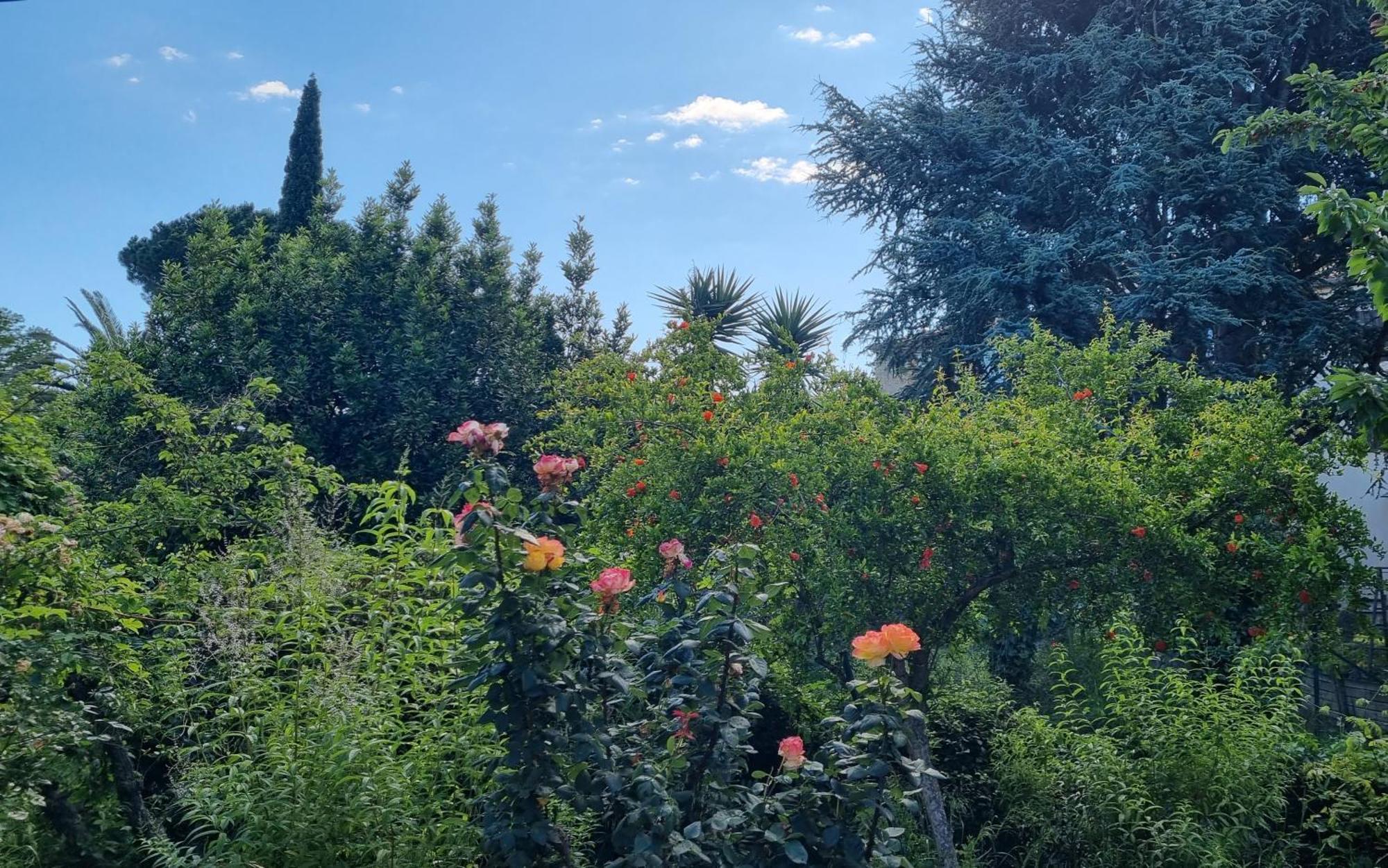 Villa El Correc Laroque-des-Albères Esterno foto